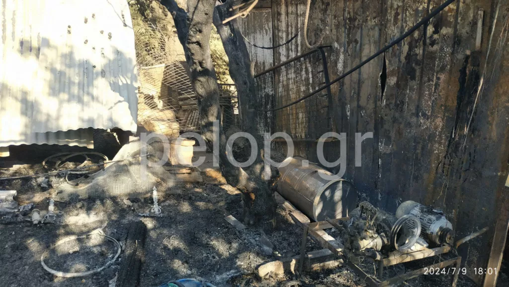 Φωτιά στην Πάτρα: Η επόμενη μέρα στα καμένα