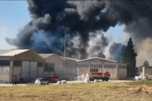 Δυτική Αχαΐα: Φωτιά σε περιβάλλοντα χώρο εργοστασίου στη ΒΙΠΕ – Πυκνοί μαύροι καπνοί ΒΙΝΤΕΟ