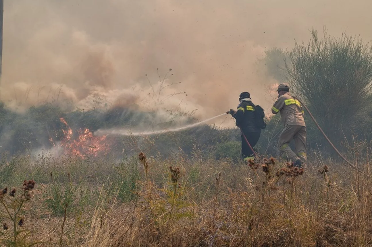 Fire in Markopoulos, near “Venizelos” airport
 – 2024-07-14 09:11:40