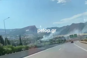 ΝΕΟΤΕΡΑ Πάτρα: Φωτιά στην περιοχή του Ρωμανού, επί ποδός η Πυροσβεστική  ΦΩΤΟ