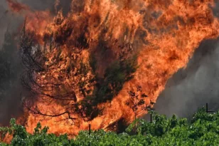 Υψηλός κίνδυνος φωτιάς τη Πέμπτη: Στο «κόκκινο» Αχαΐα, Ηλεία και Αιτωλοακαρνανία