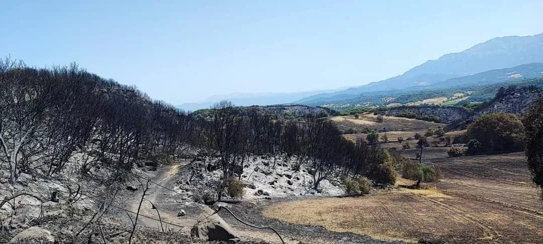 ΚΑΜΕΝΑ ΤΡΙΤΑΙΑ ΦΩΤΙΑ