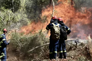 Σοφικό