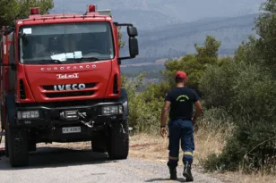 Βασιλακόπουλο