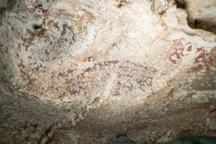 Η αρχαιότερη σπηλαιογραφία στον κόσμο ανακαλύφθηκε στην Ινδονησία και είναι τουλάχιστον 51.200 ετών