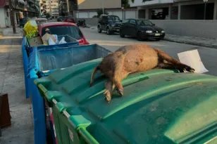 Ιωάννινα