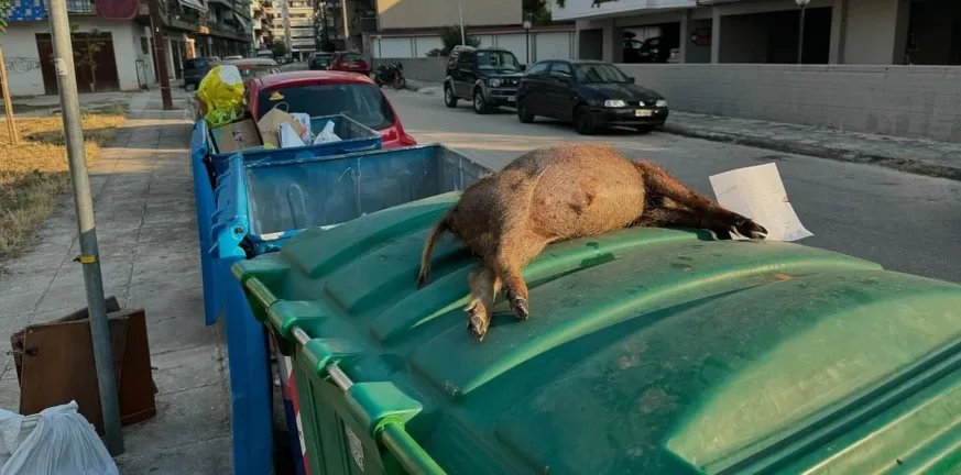 παράτησαν