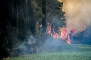 Καλύτερη η εικόνα στη φωτιά της Αμαλιάδας: Οι βροχοπτώσεις βοηθούν τις πυροσβεστικές δυνάμεις που επιχειρούν στο Γεράκι