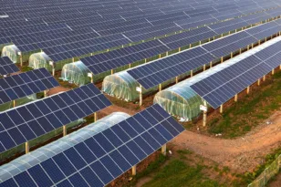 Brite Solar: Ολοκληρώνεται μεγάλη επένδυση σε αγροτικά φωτοβολταϊκά στη ΒΙΠΕ Πατρών