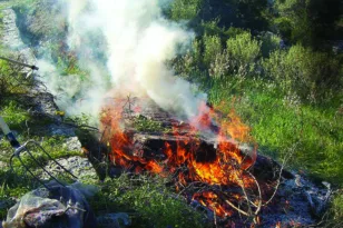 Πυροσβεστική