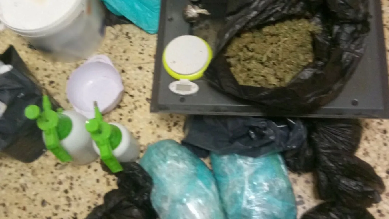 The apartment had been turned into a cannabis den