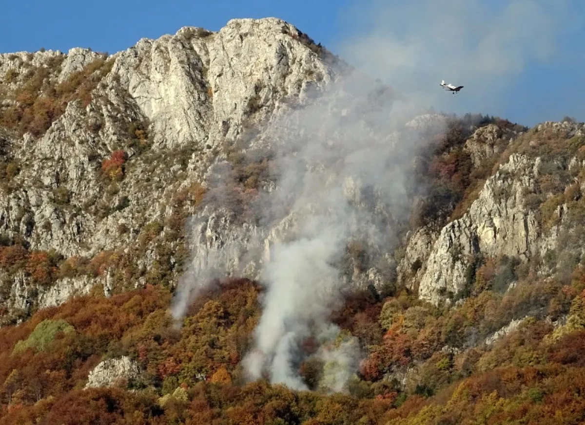 Forest commander in the fight to stop the fire VIDEO