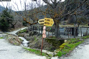 «Καμπανάκι κινδύνου» για την Ανατολική Αιγιάλεια! Καίρια παρέμβαση για τον δρόμο στο δάσος της Ζαρούχλας προς Φενεό