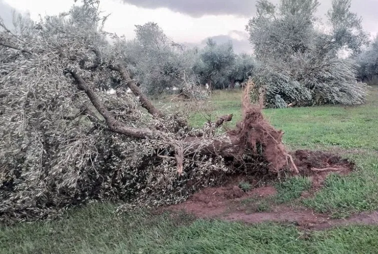 καταστροφές