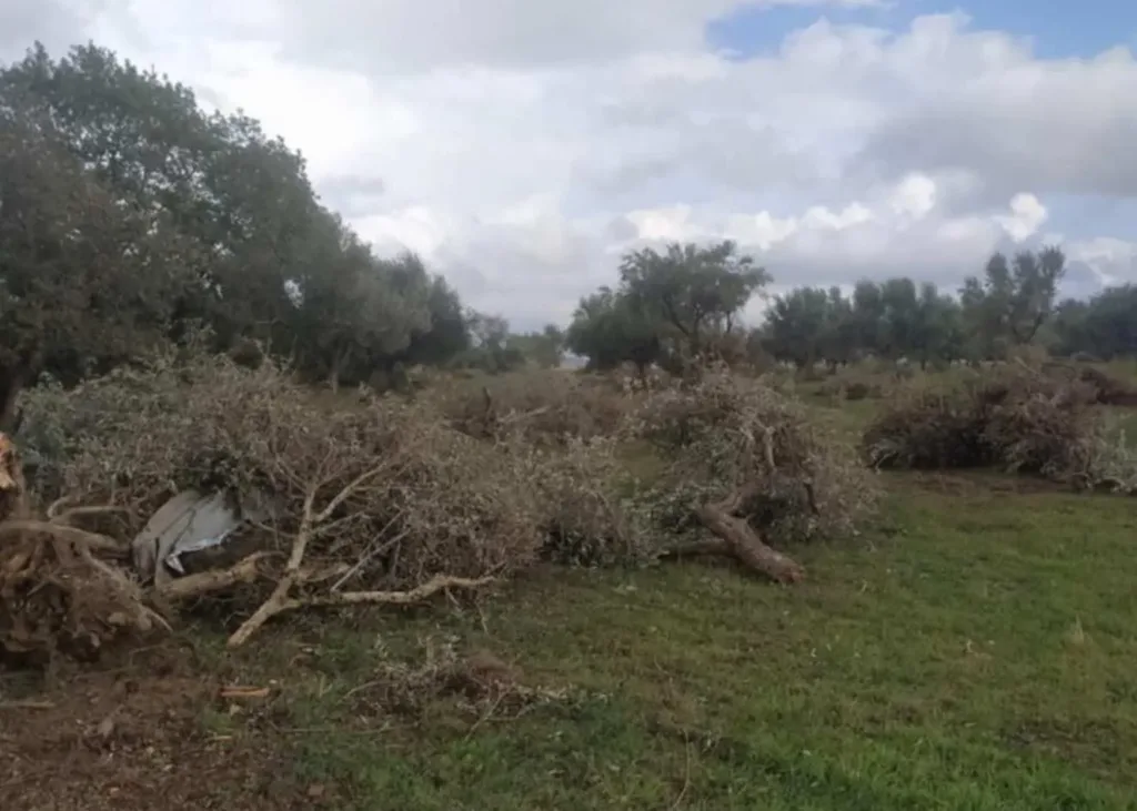 Ανεμοστρόβιλος Δυτική Αχαΐα