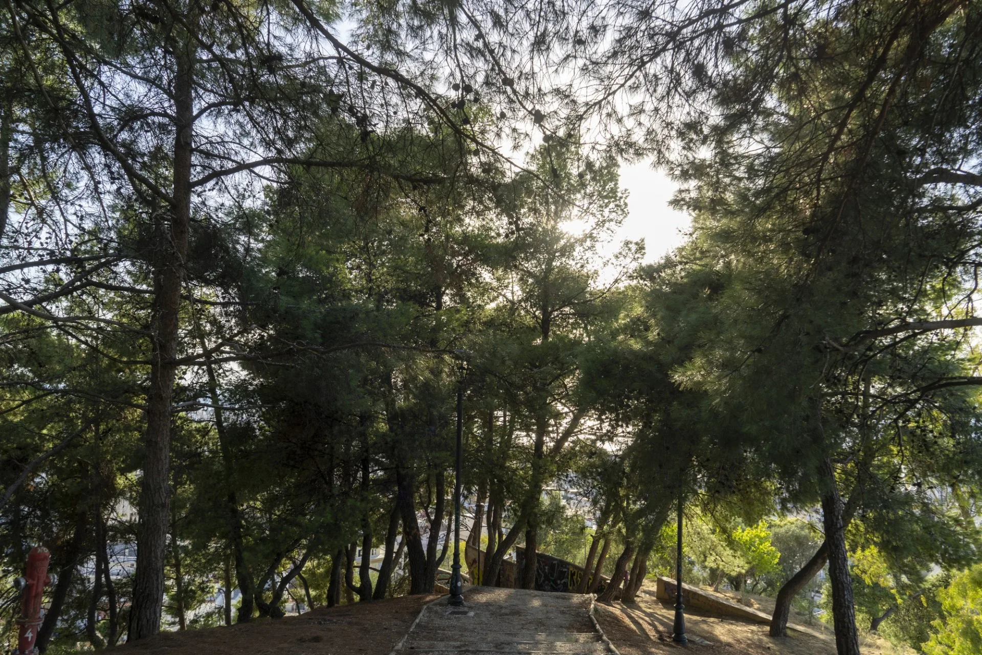 Five ideal spots for hiking and outdoor sports in Patras