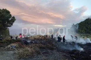 Πάτρα: Τρόμαξαν από φωτιά στο Δρέπανο – Έγκαιρη η επέμβαση της Πυροσβεστικής ΦΩΤΟ