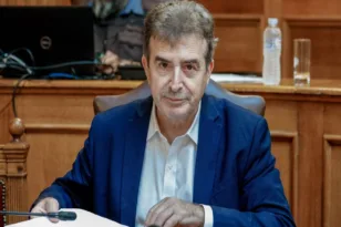 Χρυσοχοΐδης: 11.300 οι συλλήψεις για ενδοοικογενειακή βία στο 10μηνο του 2024