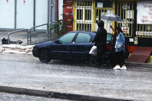 δελτίο