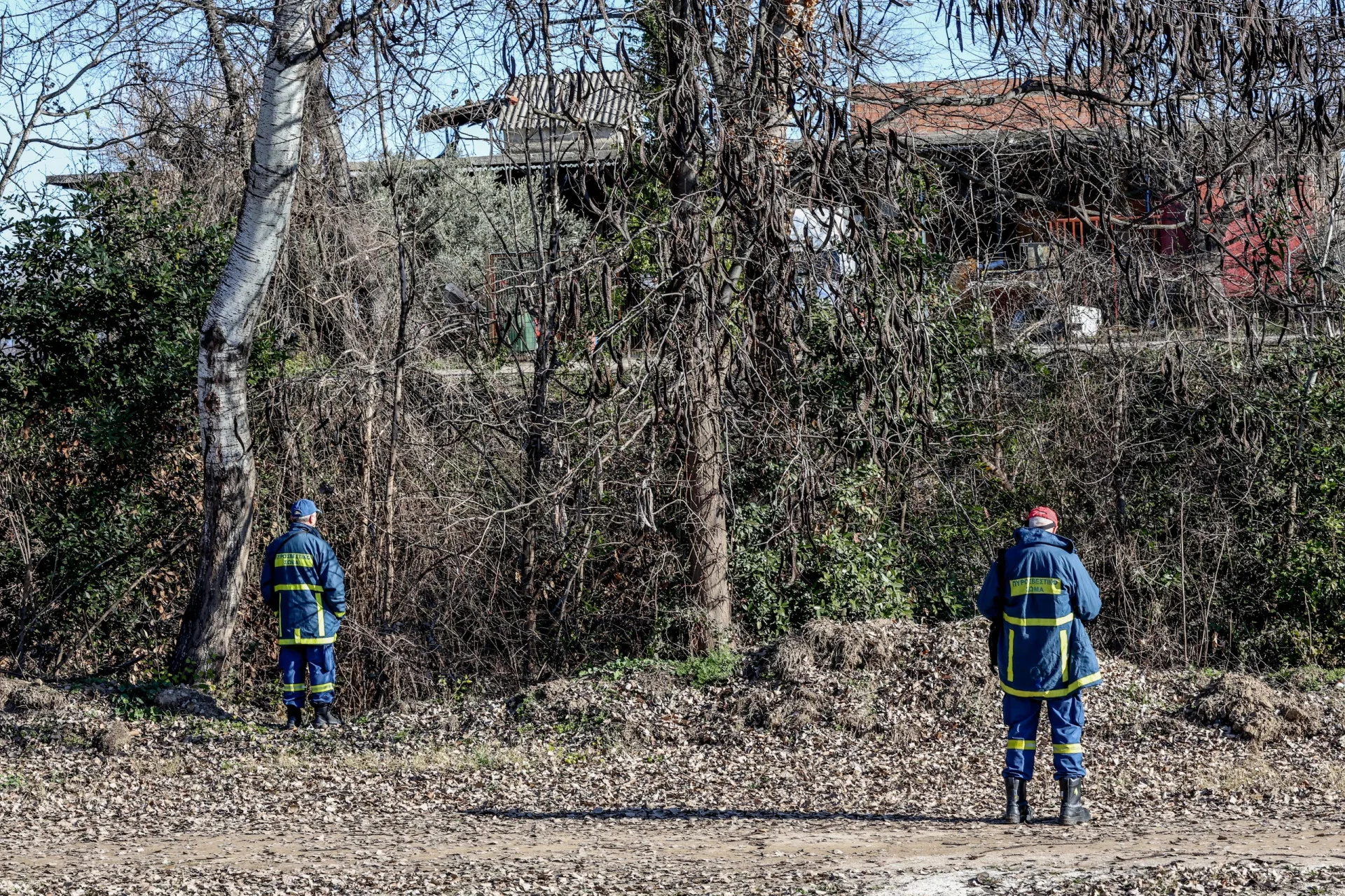 έρευνες