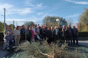 Πάτρα: Τα παιδιά των ΚΔΑΠΑμεΑ μάζεψαν τις ελιές τους ΦΩΤΟ