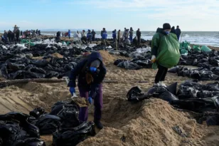 Ναυάγιο με πετρελαιοφόρα στη Μαύρη Θάλασσα: Πάνω από 30 νεκρά δελφίνια και φώκιες ΒΙΝΤΕΟ