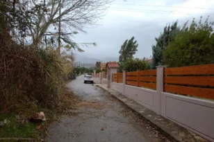 Πάτρα: Οι δυνατοί άνεμοι έριξαν δέντρα σε Άνω Καστρίτσι και Ακταίο ΦΩΤΟ