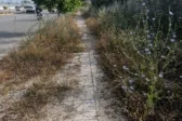 Η Πάτρα όπως τη δηλώνουν οι πολίτες: Κάδοι, λακκούβες, φώτα και πεζοδρόμια
