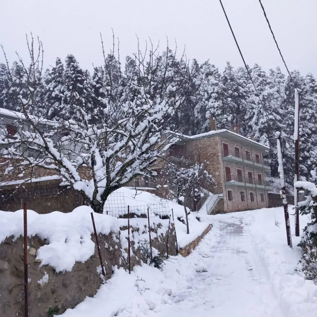 Όλα άσπρα στο χωριό Μίχα- Τσαπουρνιά κοντά στην Βλασσία