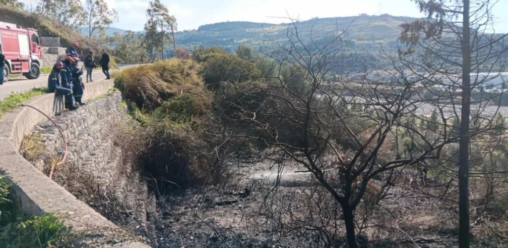 Η καμμένη έκταση στο Ανω Καστρίτσι