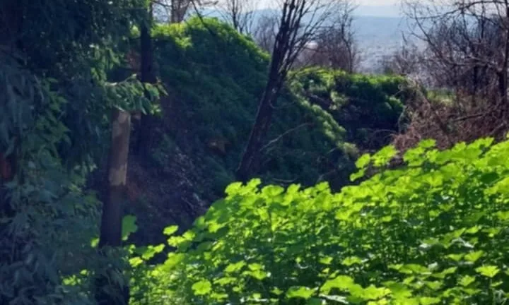 Γηροκομειό