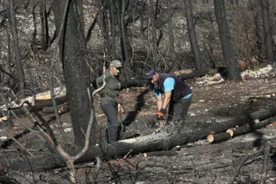 Αρχίζουν στο Διακοπτό τα αντιπλημμυρικά