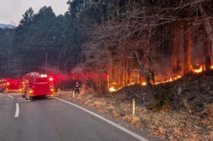 Ιαπωνία: Υπό έλεγχο η χειρότερη πυρκαγιά των τελευταίων 50 ετών