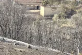 Πανικός