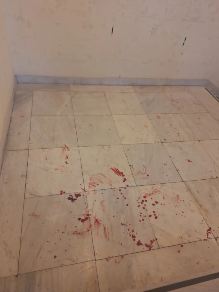 Κουκουλοφόροι