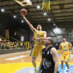 Νέοι Γλαύκου