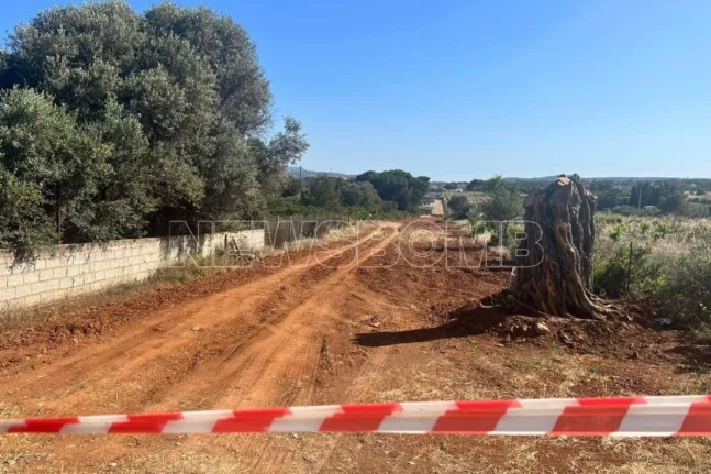 Ραφήνα: Τρεις απολογούνται για τη δολοφονία του 41χρονου – Πώς το τηλεφώνημα του θύματος οδήγησε στη σύλληψη