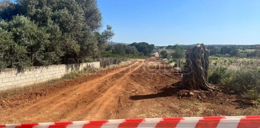 Ραφήνα: Τρεις απολογούνται για τη δολοφονία του 41χρονου – Πώς το τηλεφώνημα του θύματος οδήγησε στη σύλληψη Ραφήνα: Τρεις απολογούνται για τη δολοφονία του 41χρονου – Πώς το τηλεφώνημα του θύματος οδήγησε στη σύλληψη