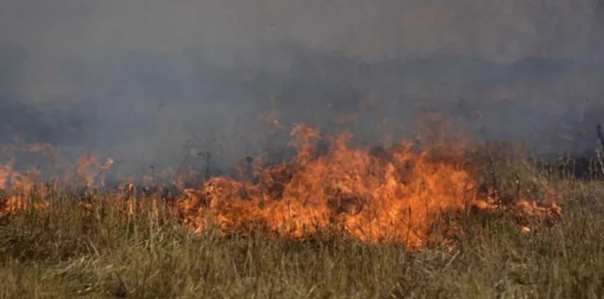 Αχαΐα: Άρχισαν οι «μποναμάδες» για παράνομη καύση χόρτων - Βαριά πρόστιμα σχεδόν 2.000 ευρώ μποναμάδες