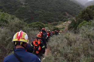 Πάτρα: Ετοιμότητα για πυρκαγιά και δενδροφύτευση ΦΩΤΟ