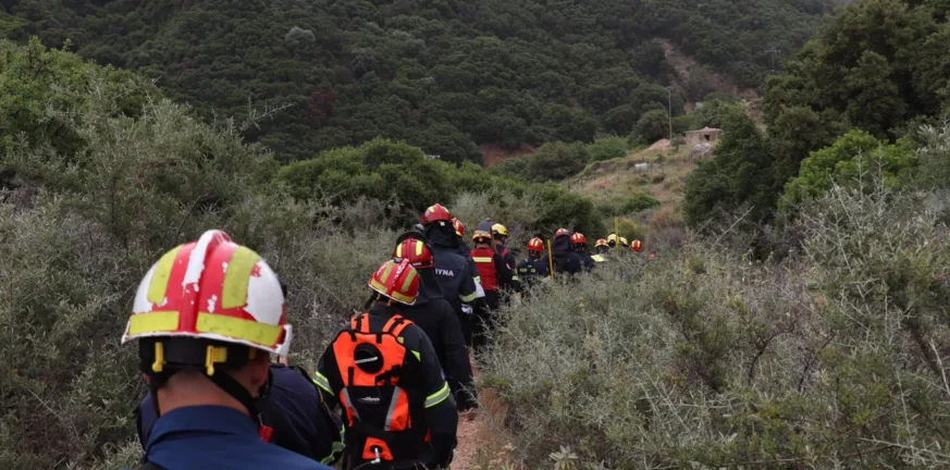 Πάτρα: Ετοιμότητα για πυρκαγιά και δενδροφύτευση ΦΩΤΟ