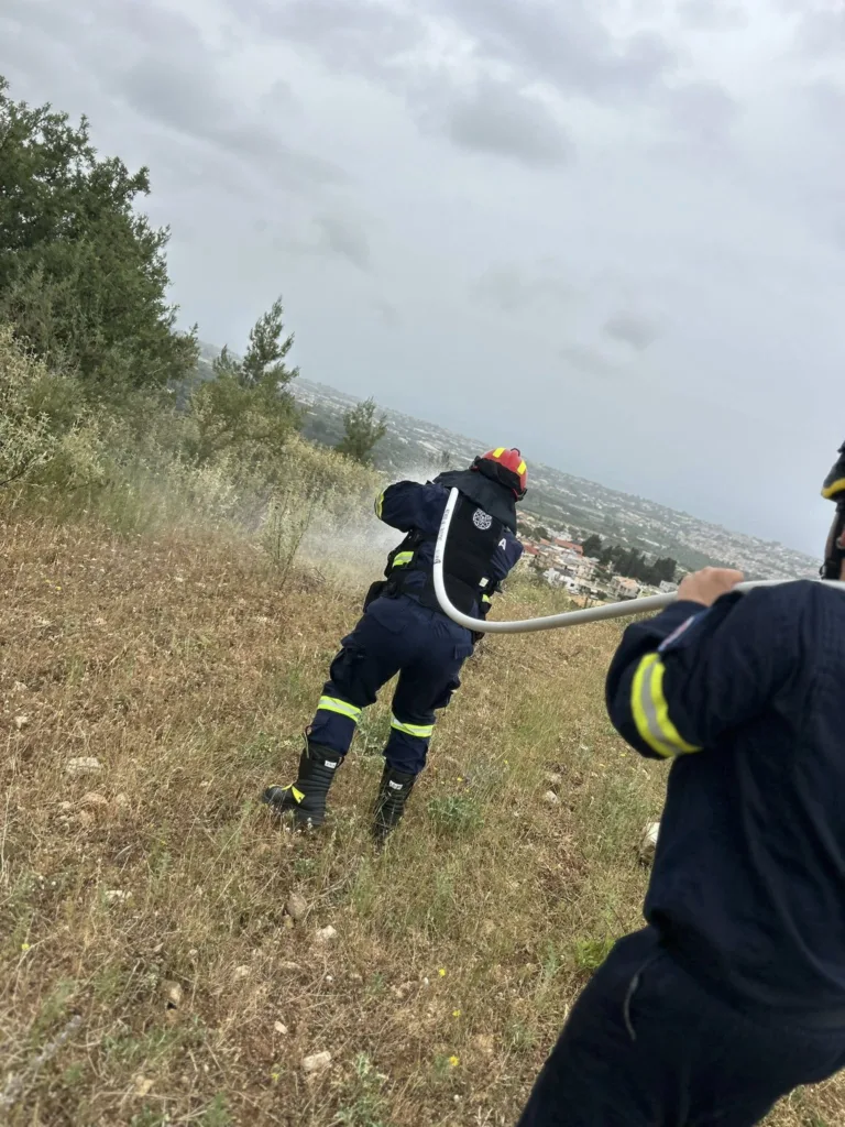 Πάτρα: Ετοιμότητα για πυρκαγιά και δενδροφύτευση ΦΩΤΟ