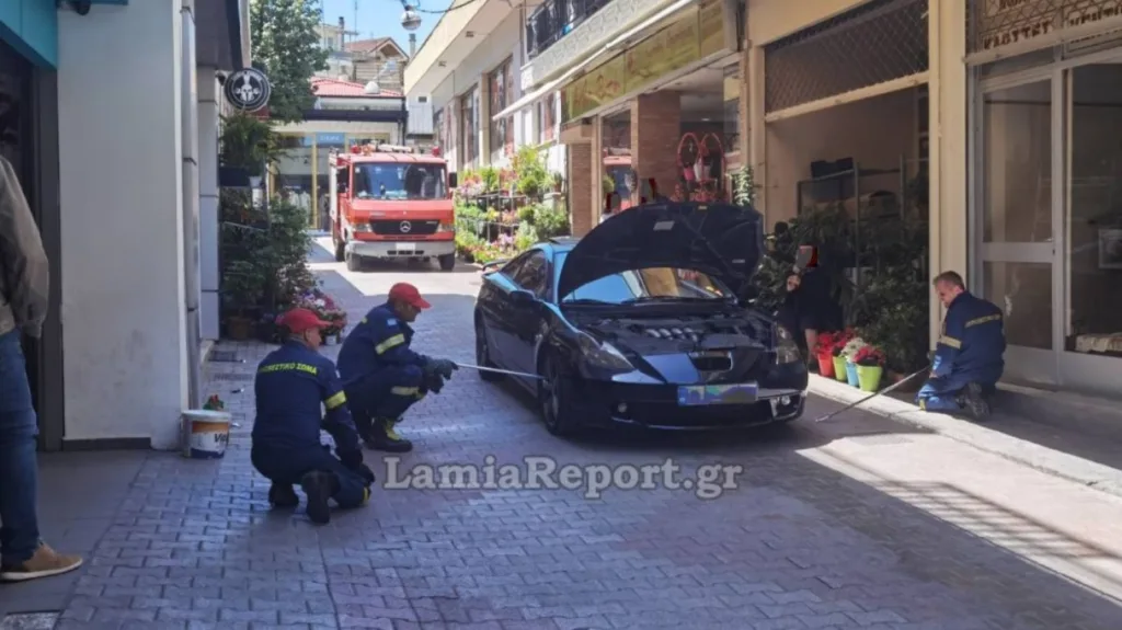 Αναστάτωση στο κέντρο της Λαμίας με φίδι σε αυτοκίνητο ΦΩΤΟ ΒΙΝΤΕΟ