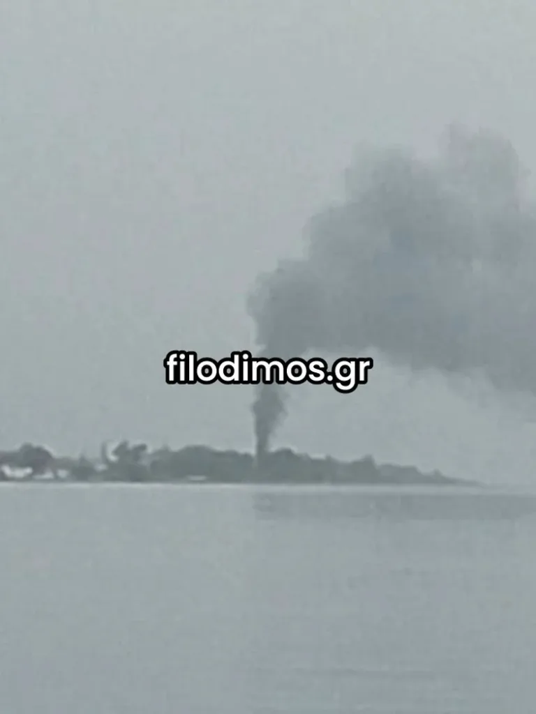 Συναγερμός στον Λόγγο: Πυρκαγιά σε αποθήκη ξενοδοχείου ΦΩΤΟ