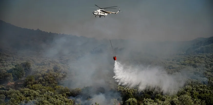 Κάπνιζε μελίσσια και προκάλεσε πυρκαγιά στην Εύβοια – Συνελήφθη 87χρονος Κάπνιζε μελίσσια και προκάλεσε πυρκαγιά στην Εύβοια – Συνελήφθη 87χρονος