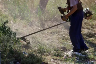 Πάτρα: Προθεσμία έως 15 Ιουνίου για τον καθαρισμό οικοπέδων  – Τι προβλέπεται για όσους αμελήσουν