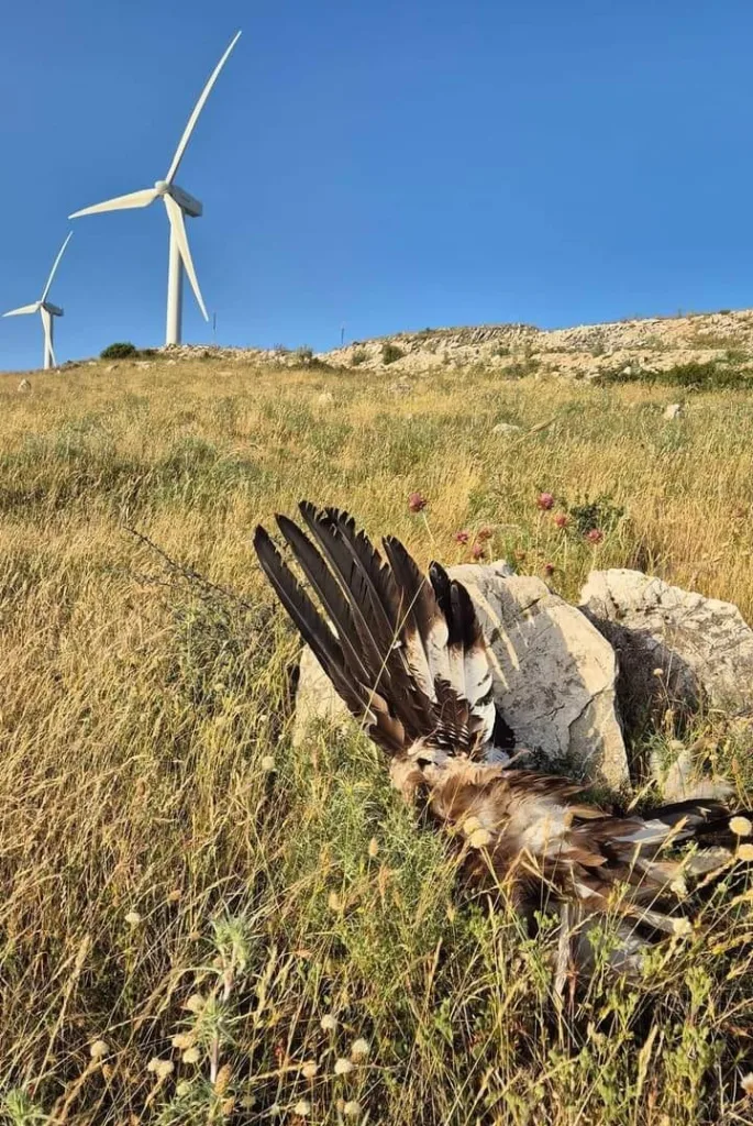 Ναυπακτία: 94 από 154 ανεμογεννήτριες της Αιτωλοακαρνανίας, «όχι» σε άλλες 141!