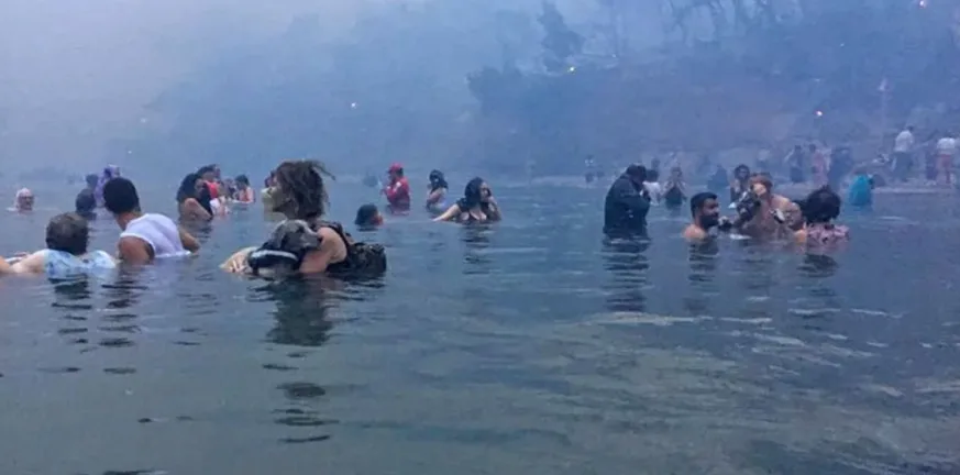 Φωτιά Μάτι: Καταγγελία για συνέχιση εφέσεων από Δήμους και Περιφέρεια Φωτιά Μάτι: Καταγγελία για συνέχιση εφέσεων από Δήμους και Περιφέρεια