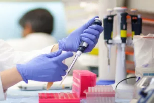 Τρόμος στην ιατρική κοινότητα: Φονικός μύκητας μπορεί να εξαπλωθεί σε όλο τον κόσμο