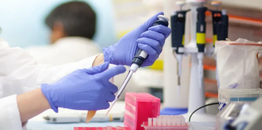 Τρόμος στην ιατρική κοινότητα: Φονικός μύκητας μπορεί να εξαπλωθεί σε όλο τον κόσμο Τρόμος στην ιατρική κοινότητα: Φονικός μύκητας μπορεί να εξαπλωθεί σε όλο τον κόσμο